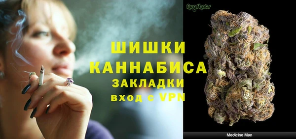 гидра Лагань