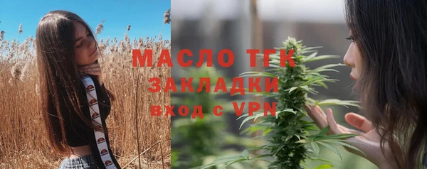 шишки Ладушкин